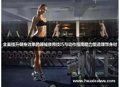 全面提升健身效果的器械使用技巧与动作指南助力塑造理想身材