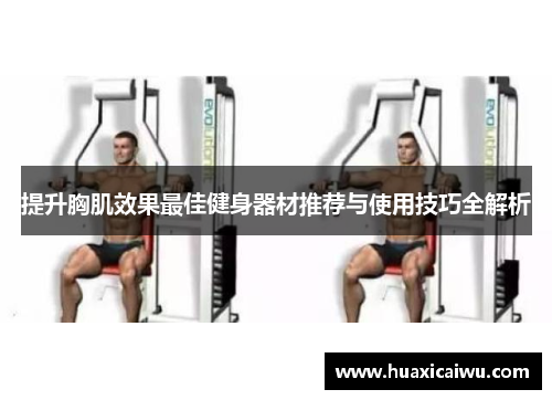 提升胸肌效果最佳健身器材推荐与使用技巧全解析