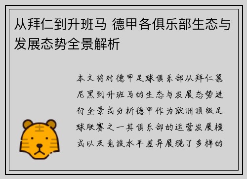 从拜仁到升班马 德甲各俱乐部生态与发展态势全景解析