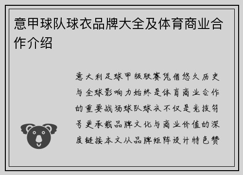 意甲球队球衣品牌大全及体育商业合作介绍